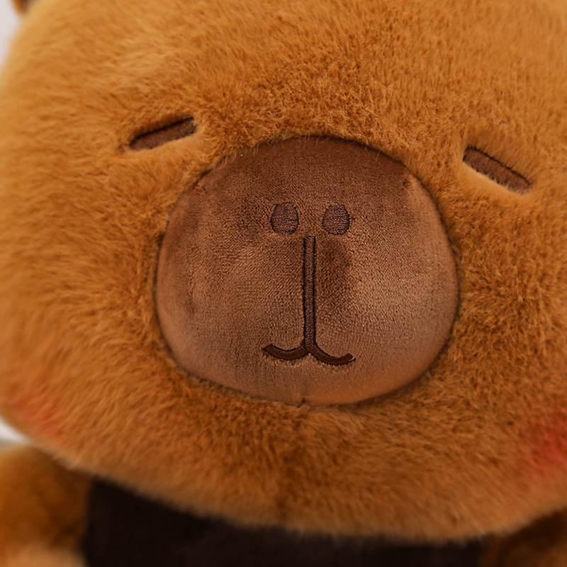 Yeni Kapibara Peluş Oyuncak Do - Best Kids Toys Xmas incelemesi ve fiyatı